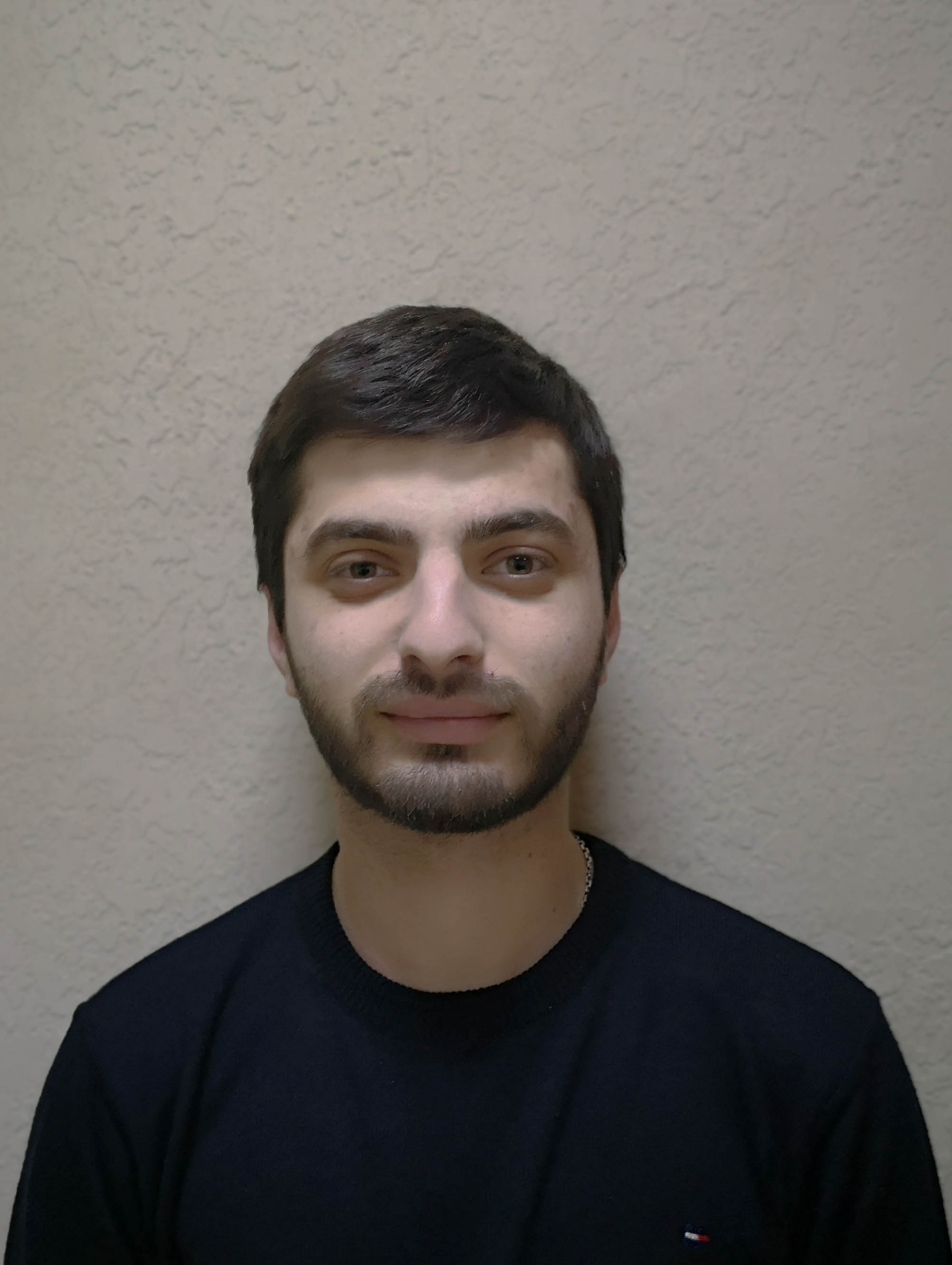 გოგი დიასამიძე